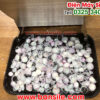 may-bao-hanh-toi-phi