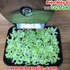 may-thai-lat-kho-qua-muop-dang-gia-re