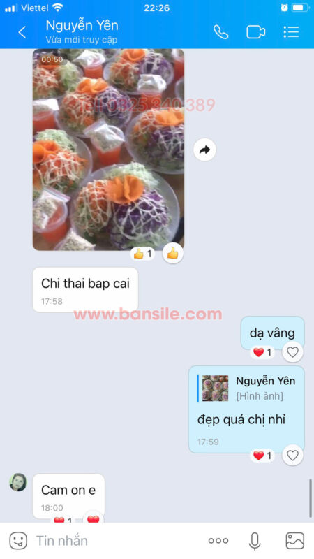 Điện máy Sỉ Lẻ: Bán máy thái salad bắp cải, thái hoa chuối,  thái rau củ quả đa năng